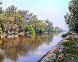 Image of Lal Suhanra National Park, Bahawalpur