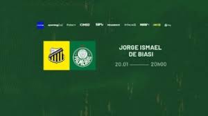 Novorizontino x Palmeiras: informações, estatísticas e curiosidades