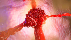 German Researchers Synthesize Potent Anti-Cancer Compound Found in Goat Manure Bacteria