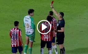 Rebaño Pasión - News update