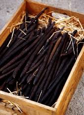 Image result for horseradish tree