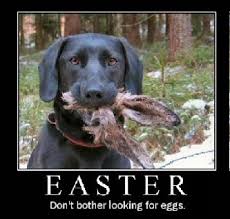 Funny Easter Quotes | Rules of Chocolate Easter Eggs via Relatably.com