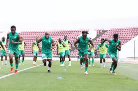 Zim Warriors Face Niger in Friendly: Can They Break the Losing Streak? - Imagen ilustrativa del artículo