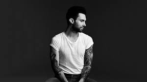 Image result for adam levine