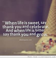 Quotes About Celebrating Life. QuotesGram via Relatably.com