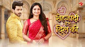 स्टार प्लस ने रिलीज किया ‘शहज़ादी… है तू दिल की…’का नया प्रोमो