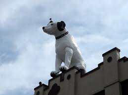 Image result for nipper albany