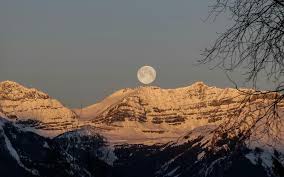 News source: La République des Pyrénées