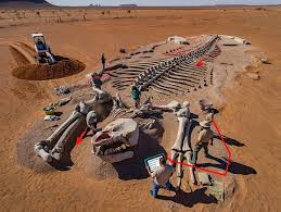 Giant 10-Meter Skeleton with Elephant-Like Legs Found Near Jaisalmer—Thar's тιтan or Hoax? In India's Thar Desert near Jaisalmer, archaeologists have reportedly unearthed a 10-meter skeleton with elephant-like legs, buried among the