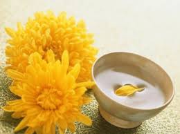 Image result for 重陽節