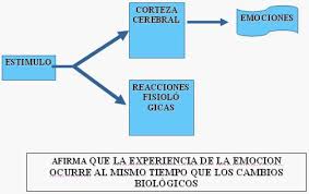 Resultado de imagen para teoria de las emociones