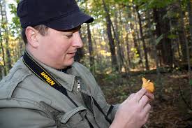 Avery Yale Kamila/Staff Writer. Chef David Ross of 50 Local examines a chanterelle picked in the woods of Kennebunk last year. Ross says too many rules may ... - portland-press-herald_3699344