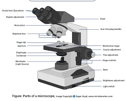 صورة microscope with its main parts labeled