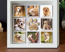 photo frame with a pet's photo in itの画像