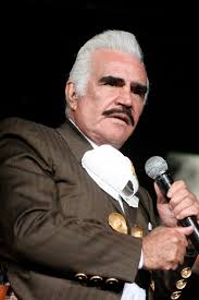 Vicente Fernández Jr.