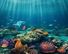 Image of majestic underwater scene with various marine creatures