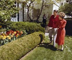 Historical changes in the White House Rose Garden