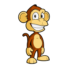 Image result for MONKEYS