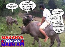 Hasil gambar untuk gambar kartun lucu dan unik