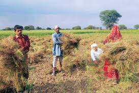 Image result for madhyapradesh images