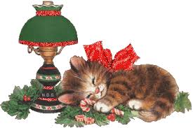 Résultat de recherche d'images pour "gif bonbons chats"