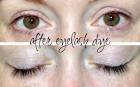 How I Tint My Lashes! -