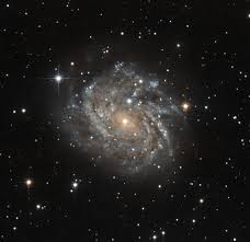 Image result for Messier 63