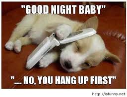 Funny Goodnight Quotes. QuotesGram via Relatably.com