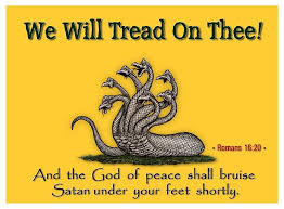 Image result for gadsden flag