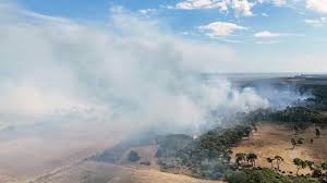 Suffolk fire grows to size of 200 football pitches as helicopter drops sea water on blaze