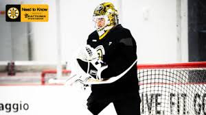 Bruins Face Injured Panthers on Road: Playoff Push Continues