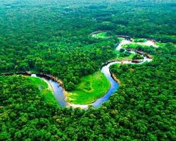 selva-amazonica