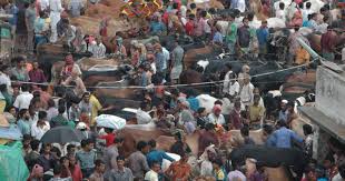 Image result for হাট বাজার নীতিমালা