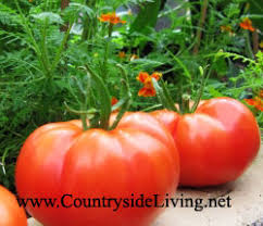 �������� �� ������� ��������