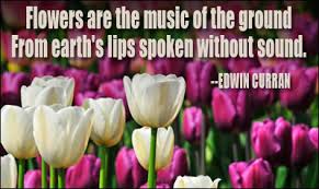 Flower Quotes via Relatably.com