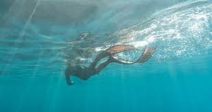 Image result for windows 10 wallpaper