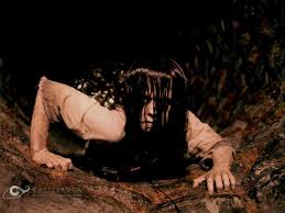 Image result for the ring two