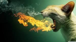 Image result for images of crazy people blowing fire