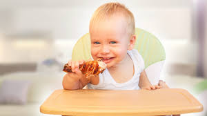 Hugo Clément: Bébés carnivores vs. Bébés végans, le débat EXPLOSE! - Imagen principal del artículo