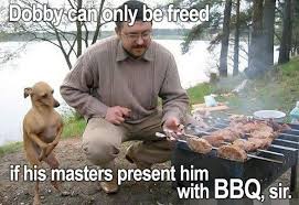 Image result for Animal Meme