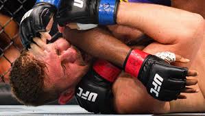 UFC Vegas 118: Farès Ziam vs. Tom Nolan Predictions & Odds