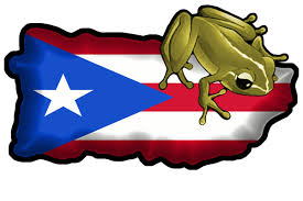 Image result for puerto rico flag