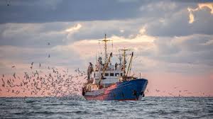 News source: Le360 - Le média des actualités du Maroc