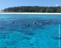 Image of Snorkeling in Mnemba Atoll, Zanzibar