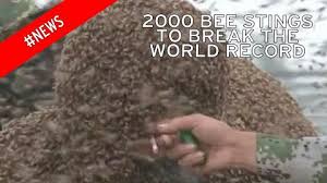 Résultat de recherche d'images pour "covered in bees"