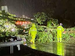 Fallen tree blocks traffic in Henderson