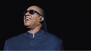 Image result for stevie wonder