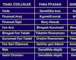 Para piyasası araçları yatırımı resmi