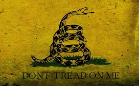 Image result for gadsden flag