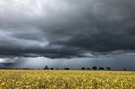 Agosto promete mais chuva no Sul e exige atenção do produtor rural